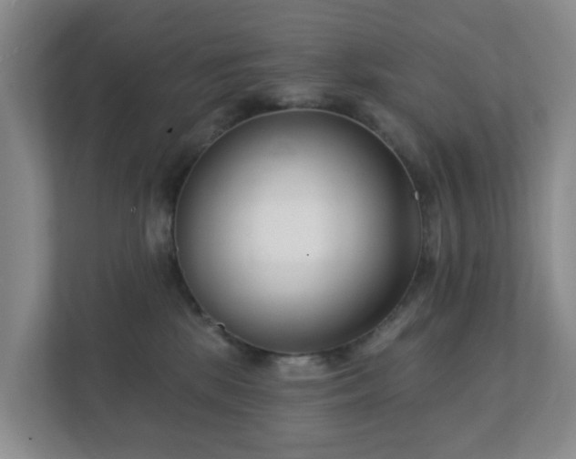 X0000112390281200908201548