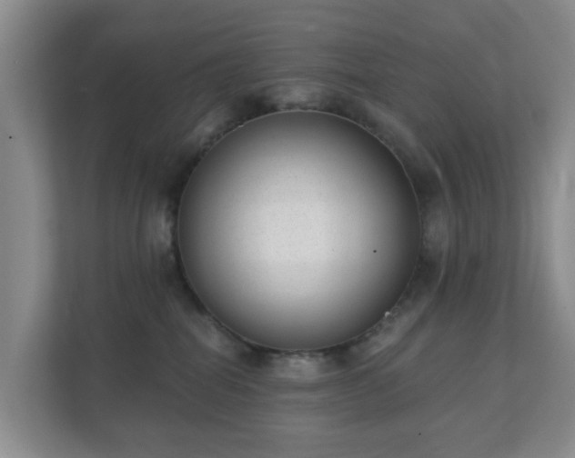 X0000112390282200908201548