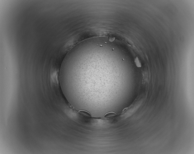 X0000112390286200908201548