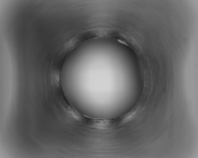 X0000112390288200908201548