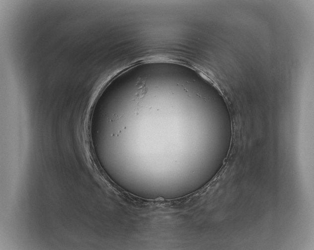 X0000112390289200908201548