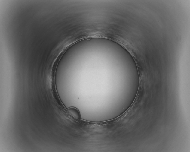 X0000112390290200908201548