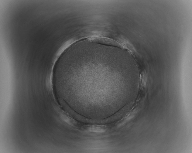 X0000112390292200908201548