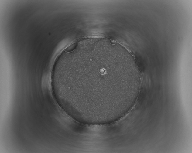 X0000112390293200908201548