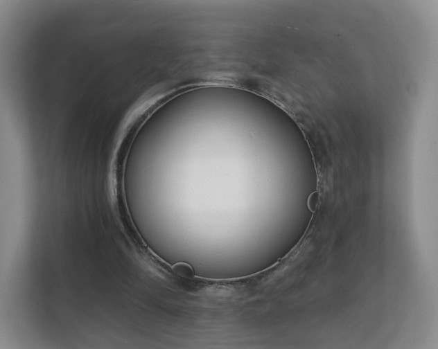 X0000112390294200908201548