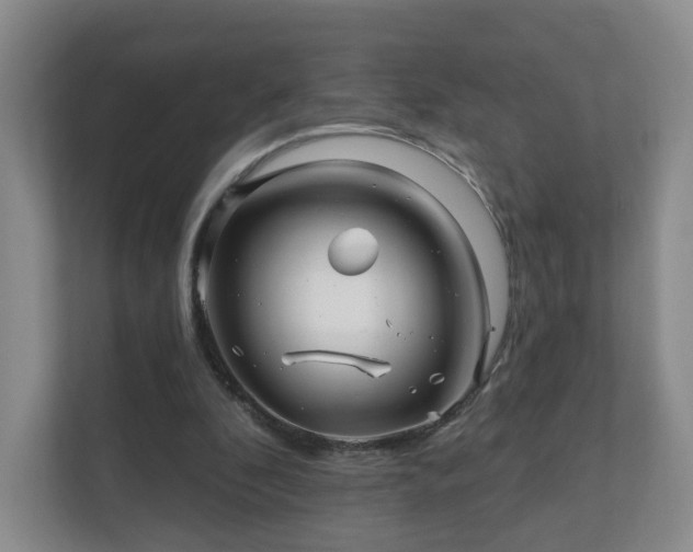 X0000112390296200908201548