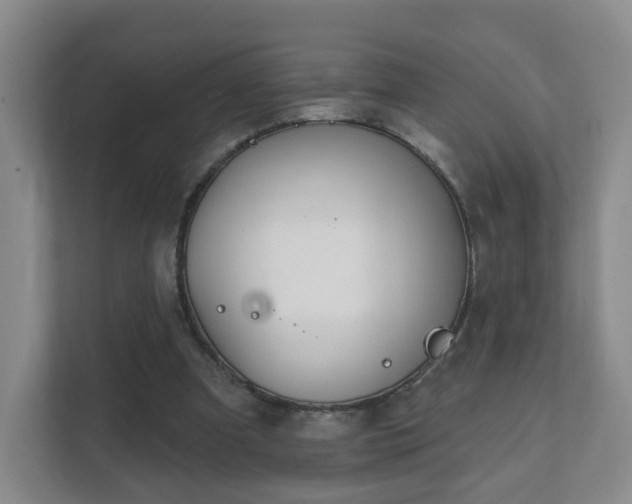 X0000112390297200908201548