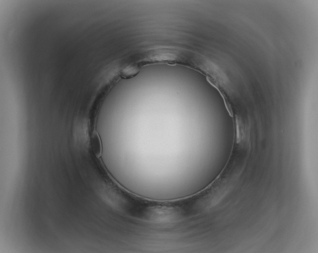 X0000112390300200908201547