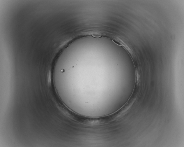 X0000112390301200908201547