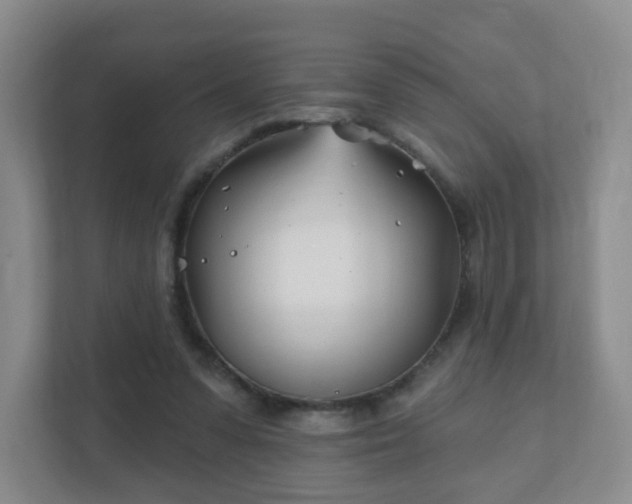 X0000112390303200908201547