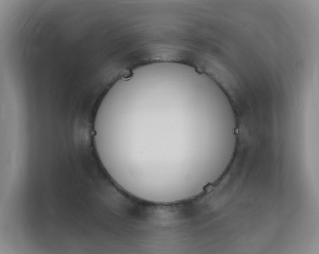 X0000112390305200908201547