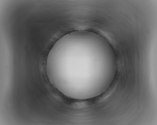 X0000112390307200908201547