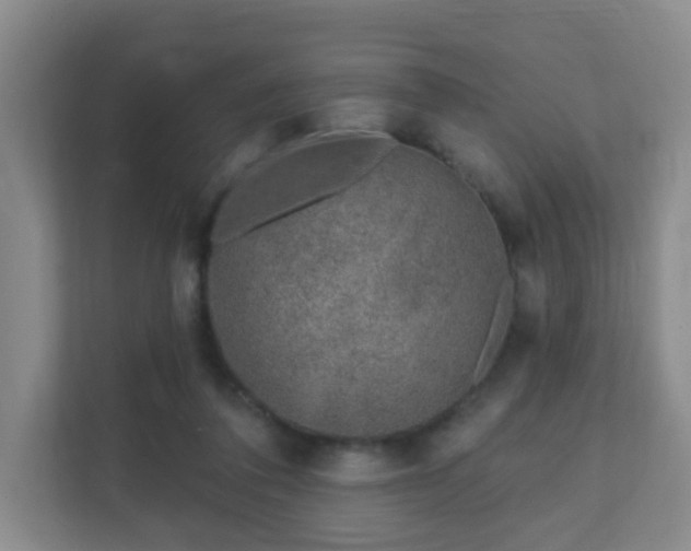 X0000112390308200908201547