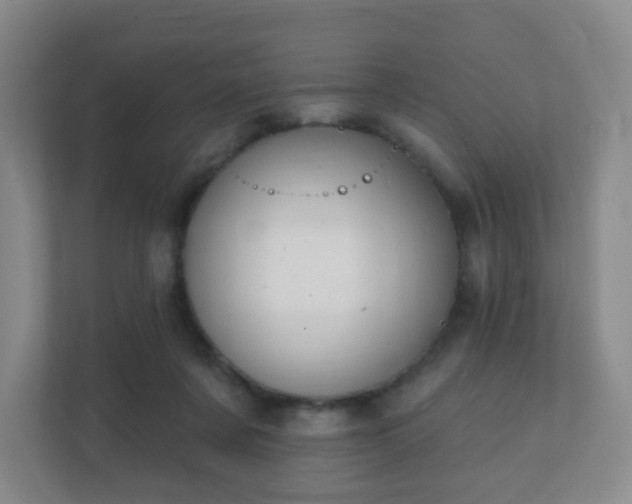 X0000112390311200908201547