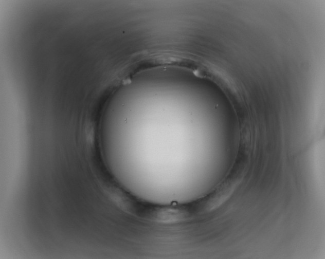 X0000112390315200908201547