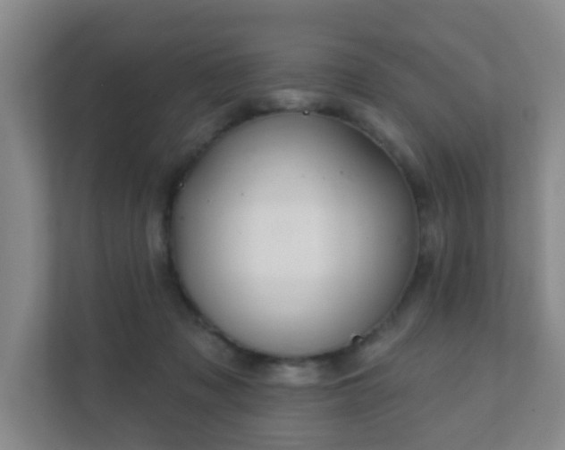 X0000112390317200908201547