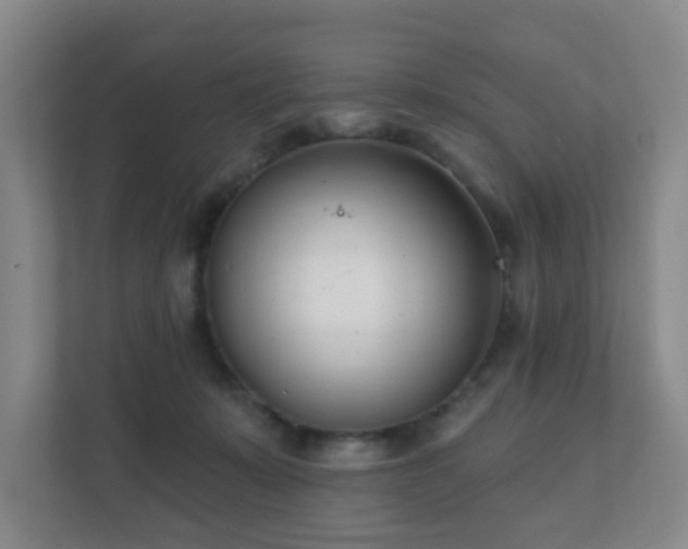 X0000112390319200908201547