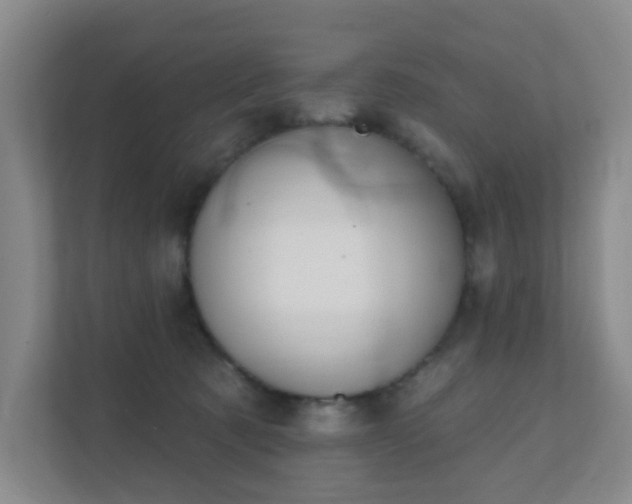 X0000112390321200908201547