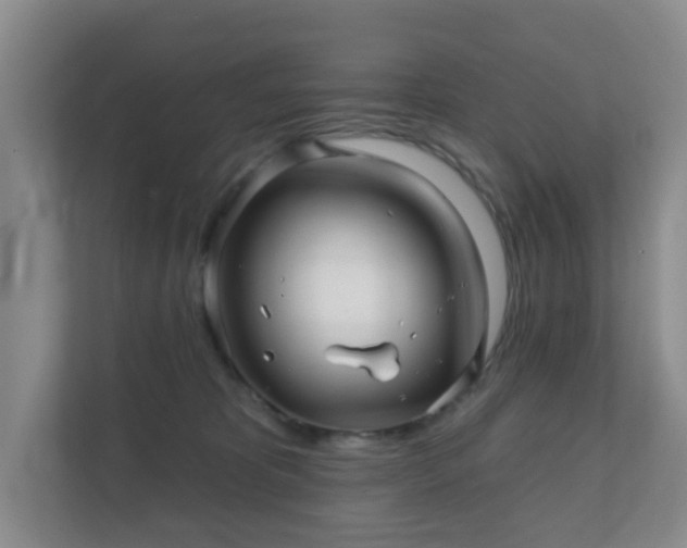 X0000112390325200908201547