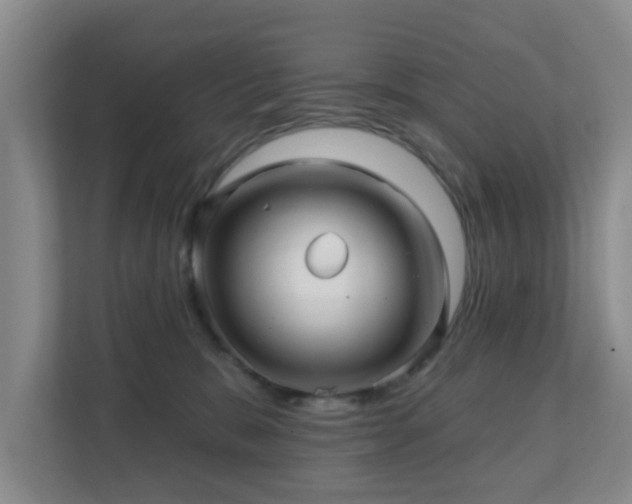 X0000112390327200908201547