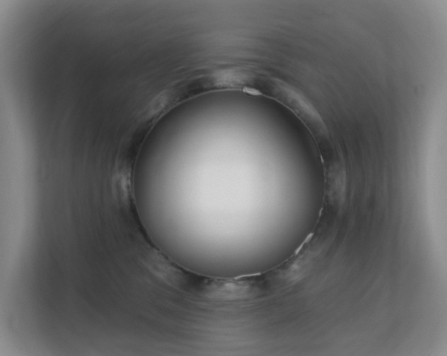 X0000112390329200908201547