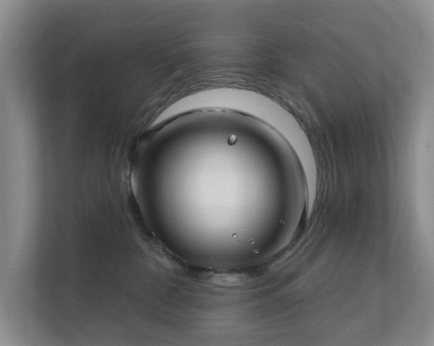 X0000112390332200908201547