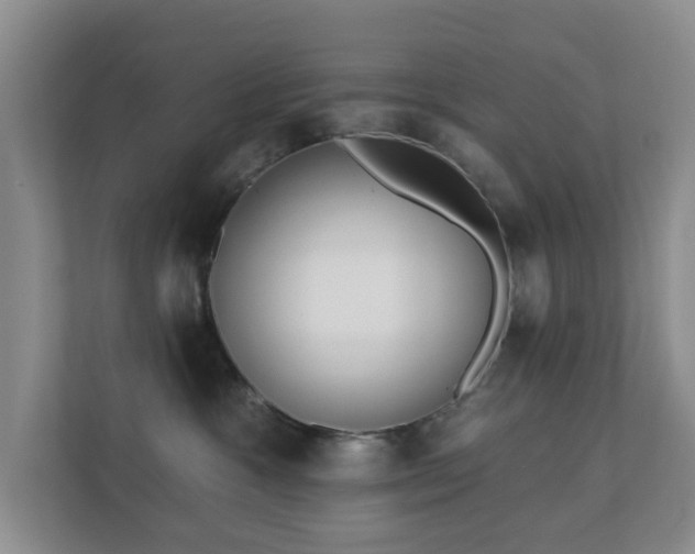 X0000112390333200908201547