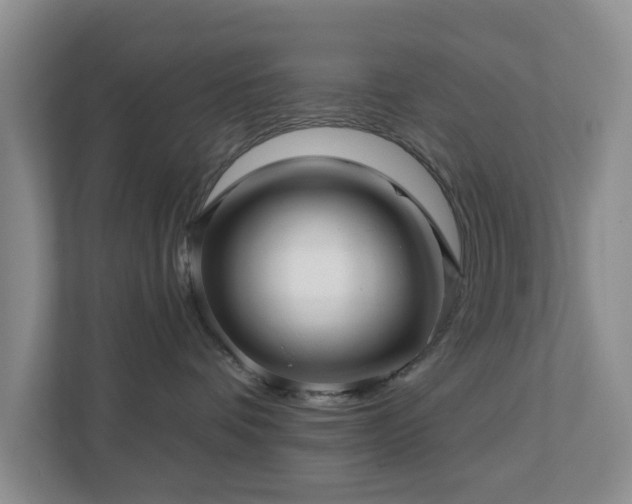 X0000112390336200908201547