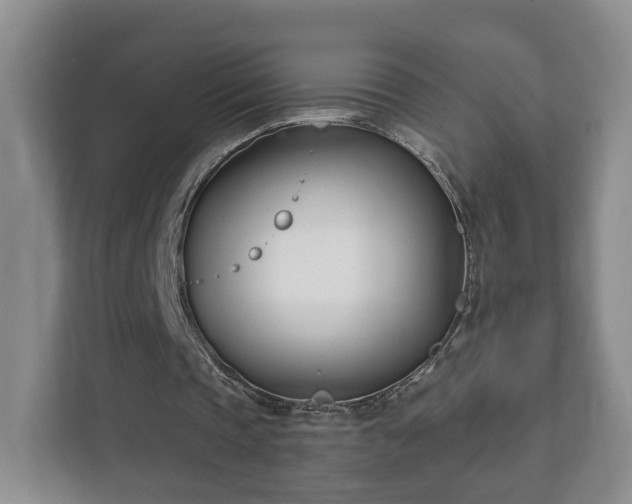 X0000112390337200908201546