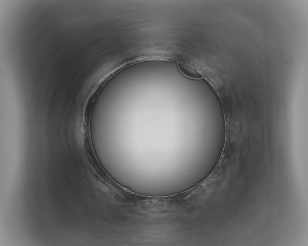 X0000112390338200908201546