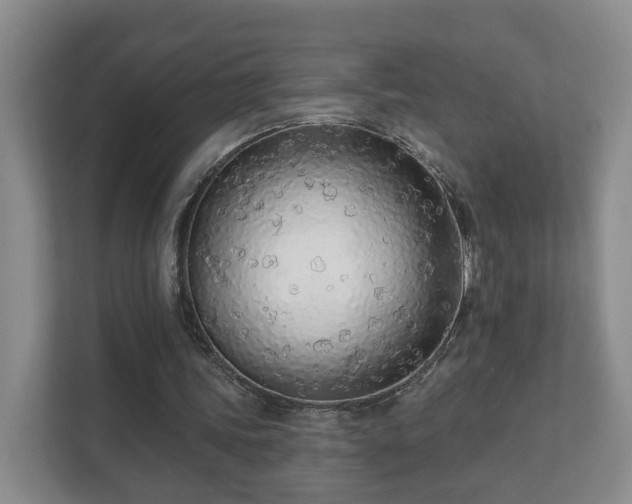 X0000112390339200908201546