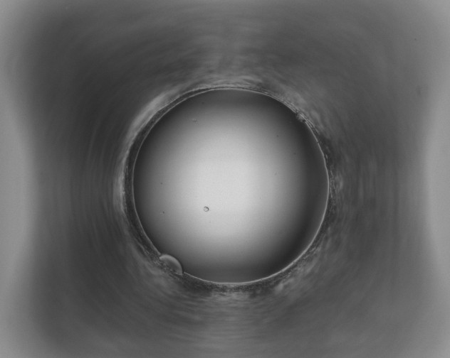 X0000112390340200908201546