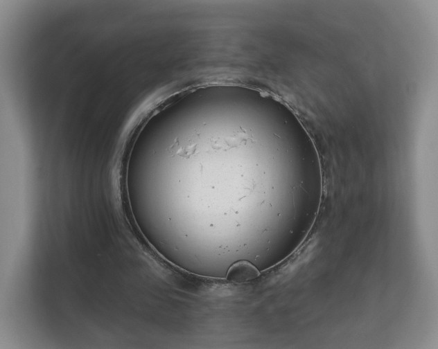 X0000112390341200908201546