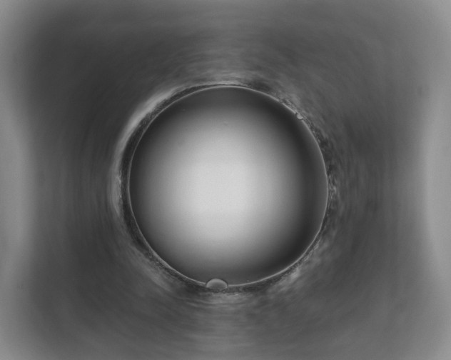 X0000112390342200908201546