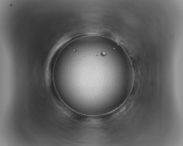 X0000112390343200908201546