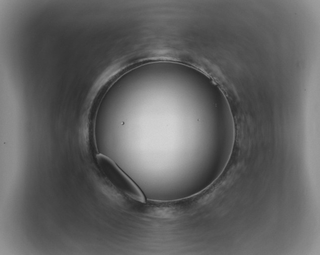 X0000112390344200908201546