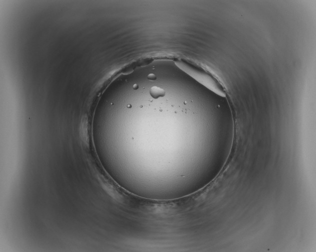 X0000112390345200908201546