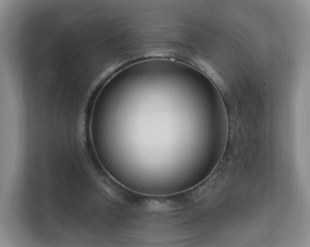 X0000112390346200908201547