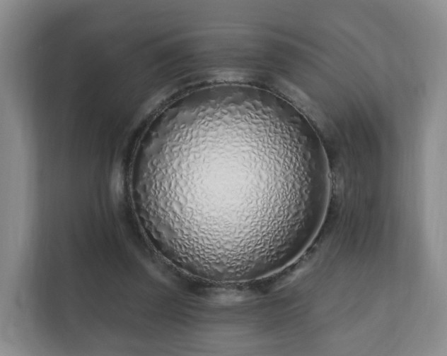 X0000112390347200908201547