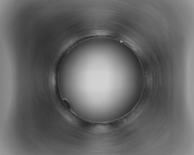 X0000112390350200908201547