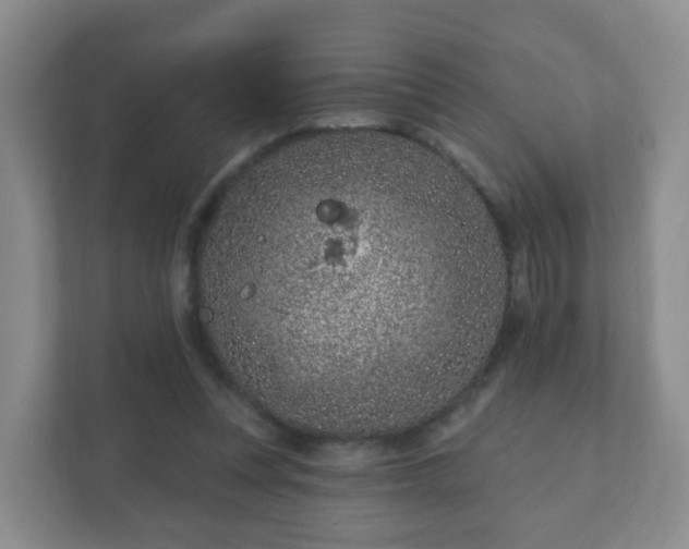 X0000112390351200908201547