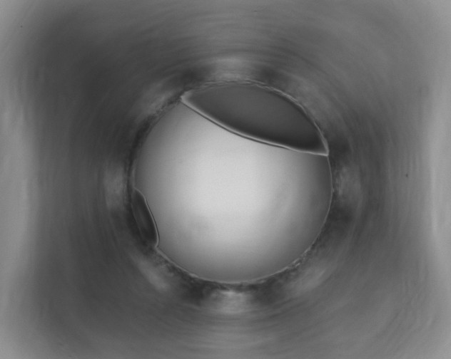 X0000112390352200908201547