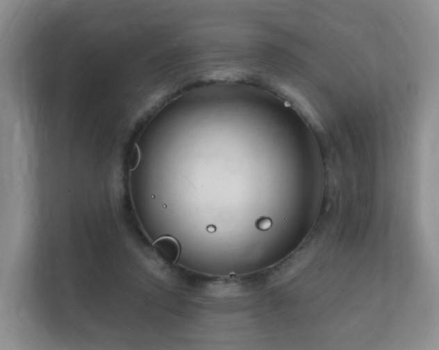 X0000112390354200908201547