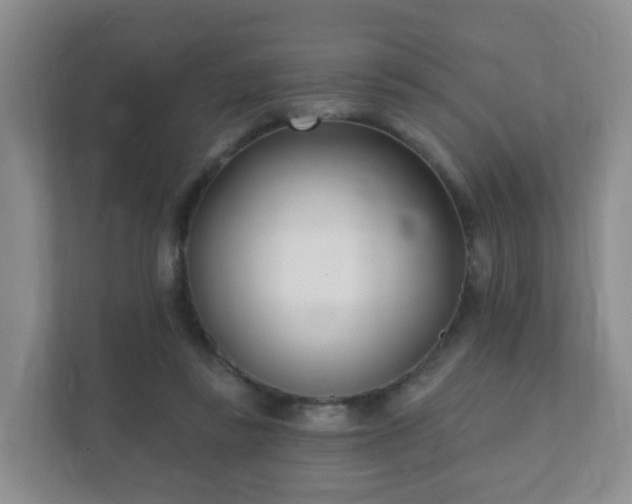 X0000112390355200908201547