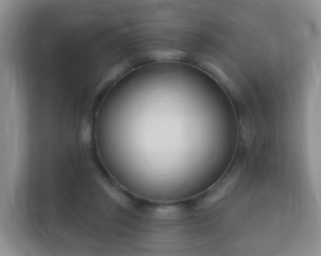 X0000112390357200908201547