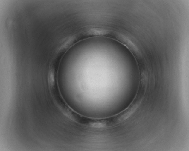 X0000112390358200908201547