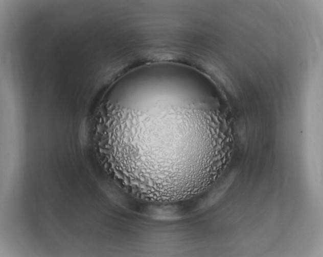 X0000112390359200908201547