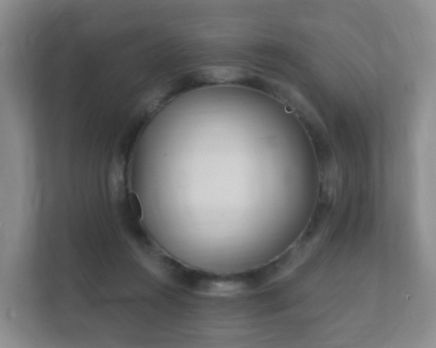 X0000112390360200908201547