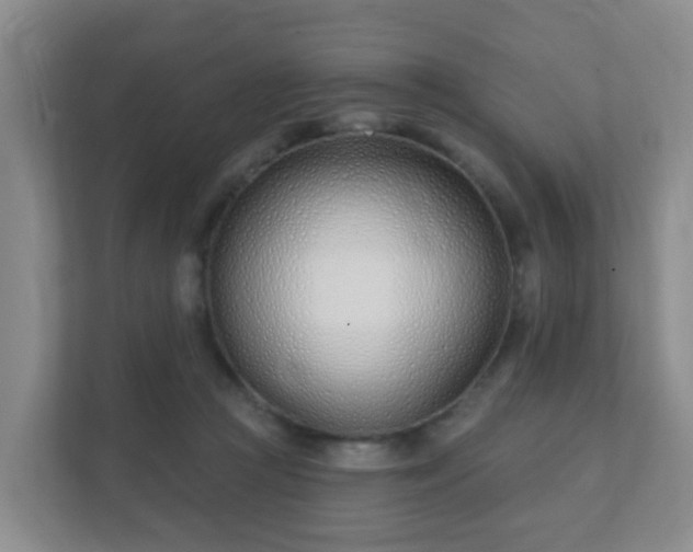 X0000112390361200908201547