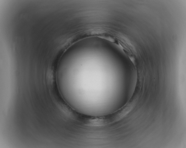 X0000112390362200908201547